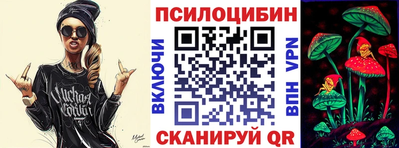 Галлюциногенные грибы Psilocybine cubensis  где купить   Салехард 