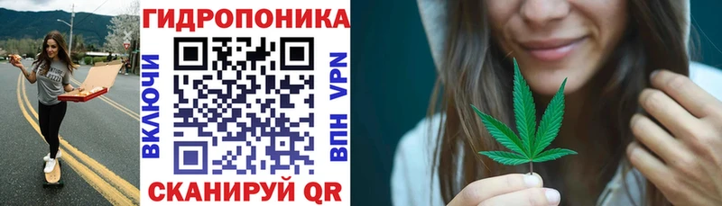 Бошки Шишки индика  мега как войти  Салехард 